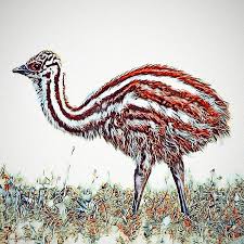 At emu australia we have lots of cute, classic and trendy styles for babies and toddlers. Baby Emu Digital Art By Pennie Mccracken Endless Skys