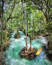 Rock springs run, scenic central florida, orlando area paddling. Explore Kelly Park Rock Springs And Kings Landing