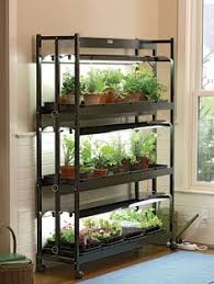 20 T5 Grow Lights Ideas In 2020 Grow Lights Growing Indoor Vegetable Gardening