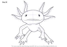 Maybe you would like to learn more about one of these? Axolotl Drawing Easy Art Drawings Art And Clip Art Axolotl Clipart Stunning Free Transparent Png Clipart Images Free Download Standard Printable Step By Step Miki Love Darl