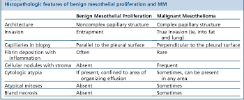 mesothelioma tumors can also be classified as either benign or malignant. Benign And Malignant Mesothelial Proliferation Semantic Scholar