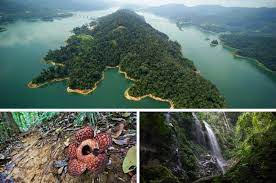 If i stay at the belum rainforest resort, what activities i think there's no doubt that royal belum is a must for me, if for no other reason than for a better chance to see rafflesia. 8 Tarikan Royal Belum Yang Harus Anda Teroka Lifestyle Rojak Daily