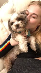 A fabulous wkeend. Thank you TIm Sumner for sharing this video 📹 🙏