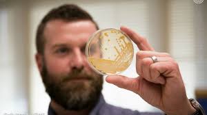 Here Today, Gone Tomorrow