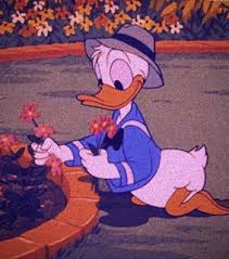 Trademark property and the cartoon drawings are the copyrighted material qf walt disney productions. Donald Duck Images On Favim Com