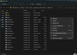 Oct 19, 2021 · vous pouvez la dénicher ailleurs sur le web et l'installer sur votre téléphone ou votre tablette android grâce à son fichier apk. Tuto Windows 11 Comment Installer N Importe Quel Apk Android Avec Wsa