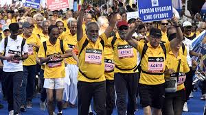 Amberdream ambra bianchini