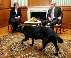 Í¸ìí°ì Yusuf Ozhan Ë Putin 2007 De Kirim Da Merkel I Agirlarken Alman Liderin Kopek Fobisi Oldugunu Bildigi Halde Odaya Sunu Almis Http T Co L7jrbqmnsz