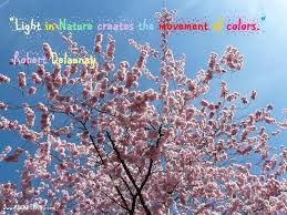 Motivational quotes related to the mistakes, making mistakes is not bad. The Joyful Colors Of Spring Inspirational Quotes And Lovely Flowers Archi Living Com