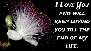 I Love You And Will Keep Loving You Till The End Of My Life Youtube