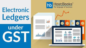 What Are The Various Types Of Electronic Ledgers Under Gst Goods And Services Accounting Software Electronics