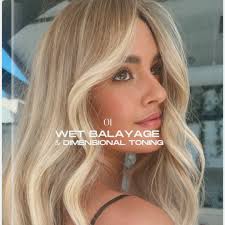 Wet Balayage & Dimensional Toning
