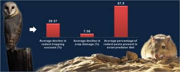 West side pest in albertville has been the expert in mouse control solutions for homes and businesses. Are Avian Predators Effective Biological Control Agents For Rodent Pest Management In Agricultural Systems Sciencedirect