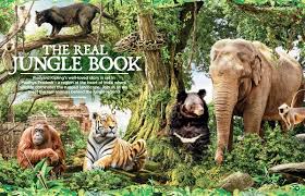 Mowgli has spent his life trying to fit in. 22 Interesting Facts About The Jungle Book Ohfact