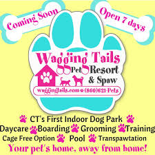 We did not find results for: Krista Lofquist Owner Top Dog Wagging Tails Linkedin
