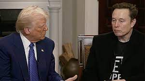 Trump and Musk show good rapport in an interview on Fox