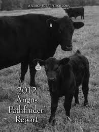 Find the perfect erika kinsey stock photos and editorial news pictures from getty images. Pathfinder 2012 American Angus Association