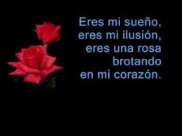 Frases Romanticas Para Enamorar A Una Chica Dificil Poemas Para Enamorar Frases De Enamorados Enamorar A Una Mujer