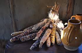 What Did The Pilgrims Eat At The First Thanksgiving Indian Thanksgiving Thanksgiving Seasoning Christmas In England