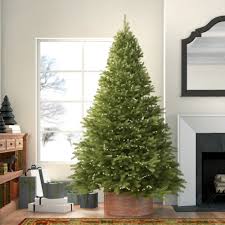 We enjoy meeting people & assisting them with their special christmas tree. The Holiday Aisle Kaye Green Fir Christmas Tree With Clear White Lights Reviews Wayfair