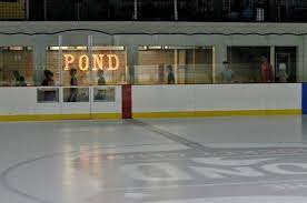 The pond hockey club asub kohas austin. Biddingowl The Pond Hockey Club Squirt Mallards Auction