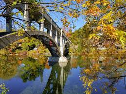 Treat hard water spots with vinegar. Guelph Water Hardness Here S How To Fix Your Hard Water Problem Watersmart