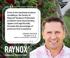 Randall L Landry, PhD