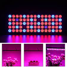 We did not find results for: Grow Light 1000w Led Hydroponic Plant Growing Led Lights Dublin