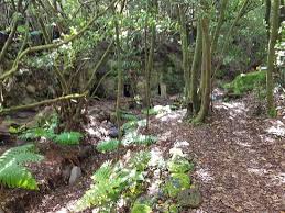 Merece la pena - Opiniones de viajeros sobre Parque Cultural La Zarza,  Garafía - Tripadvisor