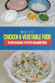 For more information on preparing a homemade cooked diet for dogs. Homemade Chicken Vegetable Food For Dogs With Diabetes Recipe