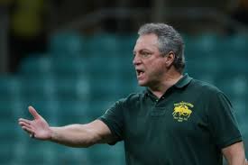 Abel braga deixa o comando técnico do inter. Brasileirao Abel Braga Renasce Na Reta Final Desporto Sapo 24