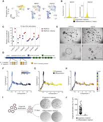 The arrows are bow v2 indicator a non repainting indicator just give signals too yearly or too late. Snake Venom Gland Organoids Sciencedirect