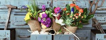Check spelling or type a new query. Start Up Spotlight Flowers For Dreams
