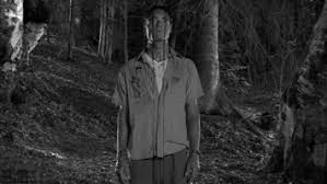 Check spelling or type a new query. Camino Hacia El Terror Terror Amino