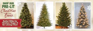 Maybe you would like to learn more about one of these? Pre Lit Christmas Trees Hortons Home Lighting