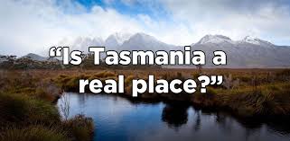 Australians Answer Americans Dumb Questions Dumb Questions This Or That Questions Australia Funny