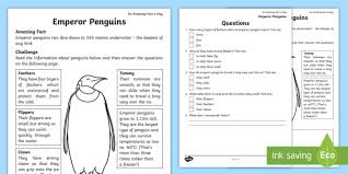 Create an egg carton penguin. Emperor Penguin Ks1 Worksheet Primary Resources