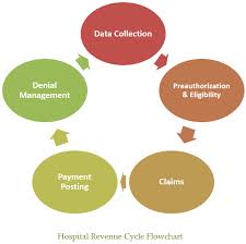 Revenue Cycle Diagram Catalogue Of Schemas