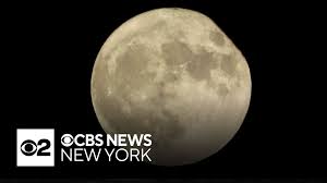 Francisca Undurraga Sin Ropa - Una Diosa Impresionante y Irresistible