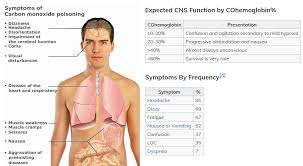 The risk may be higher during the pandemic, but you can prevent poisoning and determine the source of your symptoms. Clinical Features Of Carbon Monoxide Toxicity Cns Grepmed