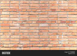 Forest ground with some fallen acorns. Red Brick Wall Texture Image Photo Free Trial Bigstock