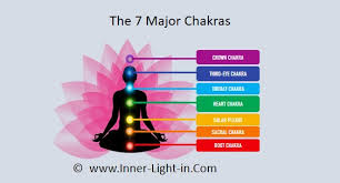 It is called the root chakra and it's main function is to look after the spine, legs, feet, as well as your physical body. How Many Chakras Are There In Human Body 7 Or 114 Meditation And Yoga Research