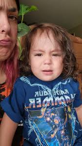 What to do with a Monstera stem after a leaf is torn off?