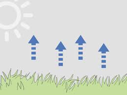 Maybe you would like to learn more about one of these? 3 Ways To Water Your Lawn Efficiently Wikihow