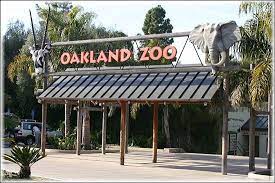 Pin By Veronica Garcia On Landscapes Scenery Oakland Zoo Oakland Zoo