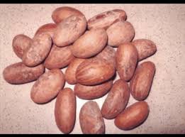 Have You Tried Kola Nuts Native To Tropical Africa This Caffeine Rich Nut Is Used For Flavoring Beverages And Sometimes Flavored Drinks Tasting Good Food