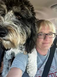 ⚠⚠8/27/25 STILL MISSING Ollie has been missing for 2 months, and we have  gotten no sightings. But his family has not given up hope! Ollie may have  been picked up by a