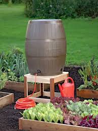 Gartengestaltung Ideen Gemuse Im Garten Pflanzen Fass Mit Wasser Gartenbedarf Erhohte Beete Hinterhof Gemusegarten