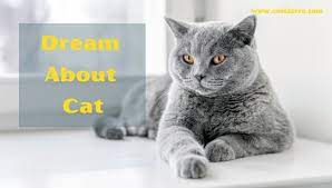 Dream About Cat Meaning And Interpretation Cool Astro