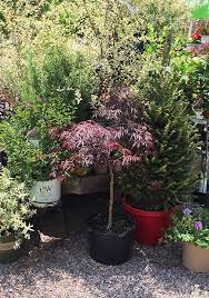 Gardener S Supply Garden Centers In Burlington And Williston Vermont Garden Center Garden Supplies Garden